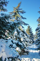 Similar image 5745178