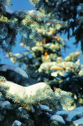 Similar image 5745179