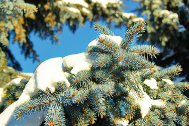 Similar image 5745180