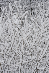 Similar image 5745365