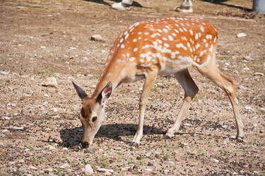 Similar image 5745379