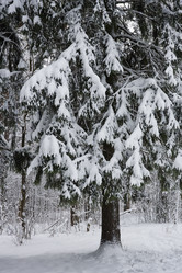 Similar image 5745403