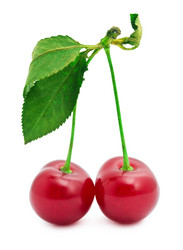 Similar image 5745411