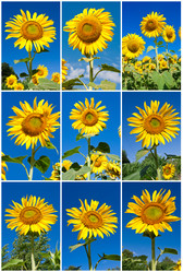 Similar image 5745424