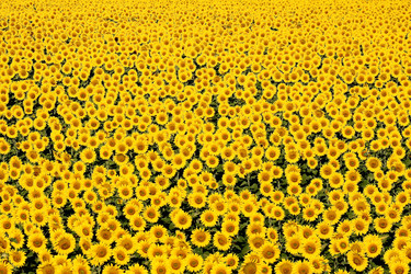 Similar image 5745440