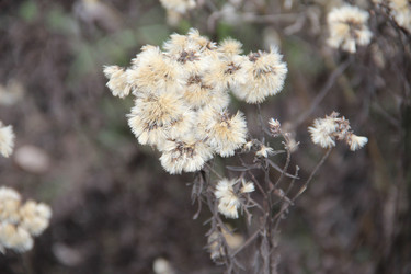 Similar image 5745968