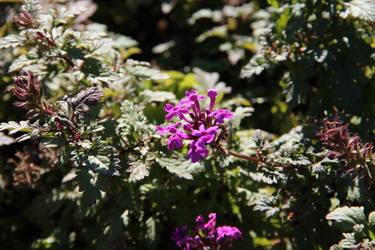 Similar image 5745974