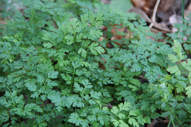 Similar image 5745979