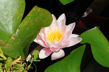 Similar image 5746172