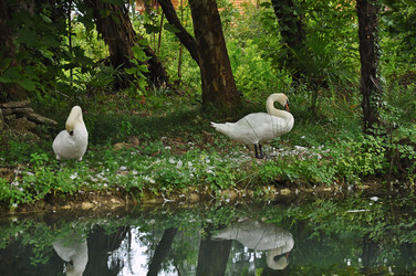 Similar image 5746210