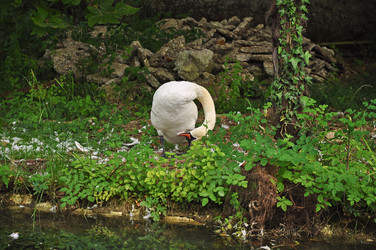 Similar image 5746211