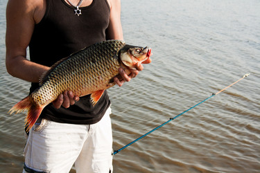 Similar image 5746218