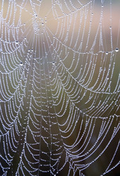 Similar image 5746250