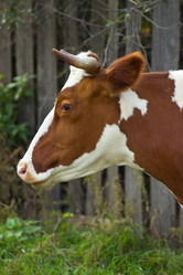 Similar image 5746263