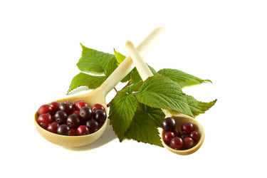 Similar image 5746273