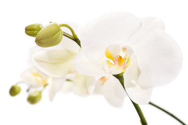 Similar image 5746286