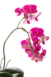 Similar image 5746288