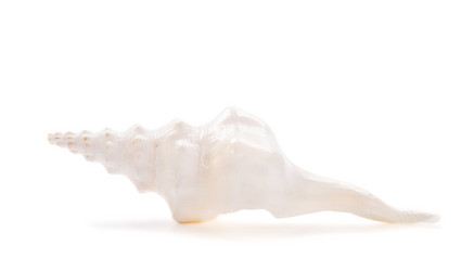 Similar image 5746289