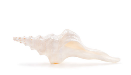 Similar image 5746290