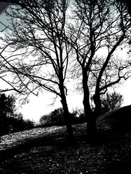 Similar image 5746360