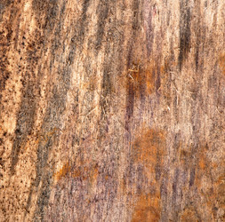 Similar image 5746486