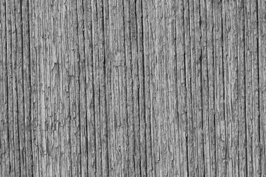 Similar image 5746493