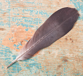 Similar image 5746497