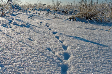 Similar image 5746516