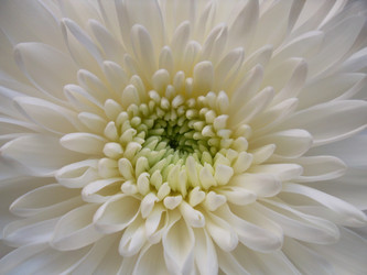 Similar image 5746531