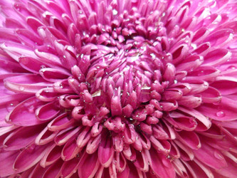 Similar image 5746532