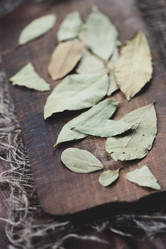 Similar image 5746597