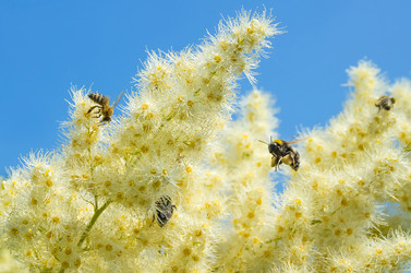 Similar image 5746750