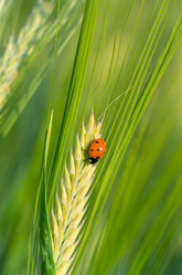 Similar image 5746752