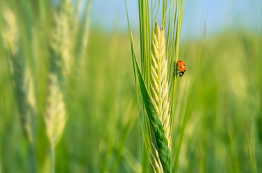 Similar image 5746753