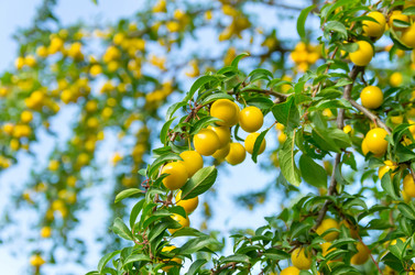 Similar image 5746755