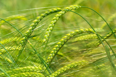 Similar image 5746758