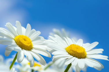 Similar image 5746763