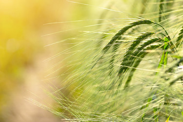 Similar image 5746764