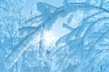 Similar image 5746766