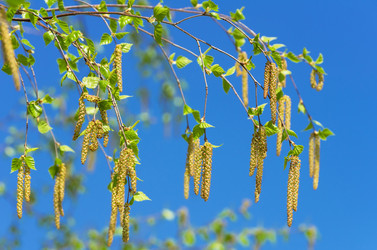 Similar image 5746768