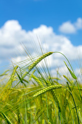 Similar image 5746770