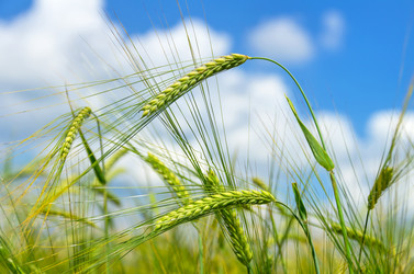 Similar image 5746772