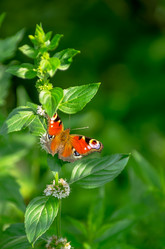 Similar image 5746777