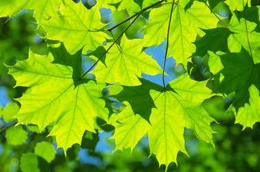 Similar image 5746781