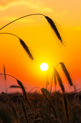 Similar image 5746783