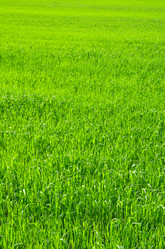 Similar image 5746785