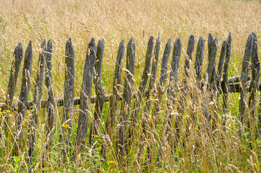 Similar image 5746786