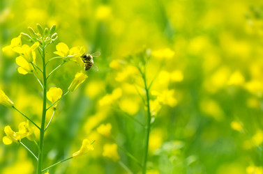 Similar image 5746788