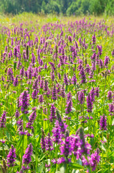 Similar image 5746793