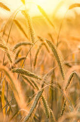 Similar image 5746796